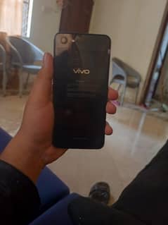 vivo