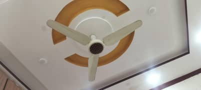 ceiling fan for sale