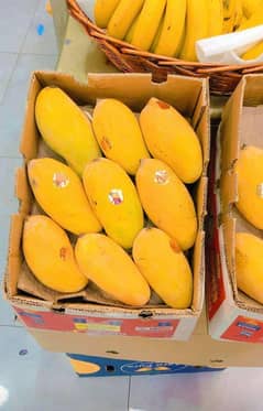 Export Chounsa Mango Box - Fresh Mango Box 7KG - 12KG