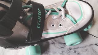 skitshoes