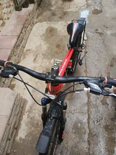 Bicycle Royal Rider