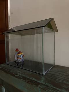 Aquarium with mushroom fish house