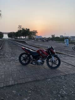 Ybr
