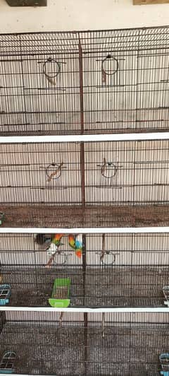 8 portion cage
