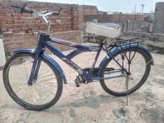 China cycle for sale