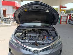 corolla