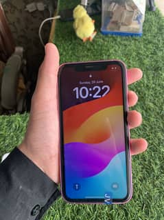 Xr convert To 16
