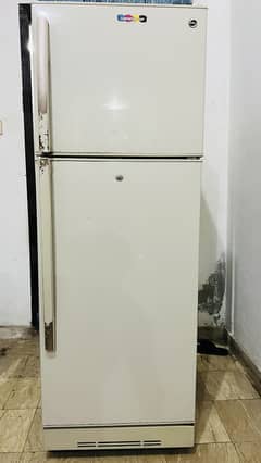 PEL Fridge Used available 10 by 8 Condition