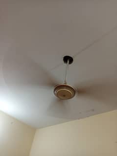 ceiling