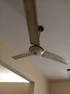 ceiling
