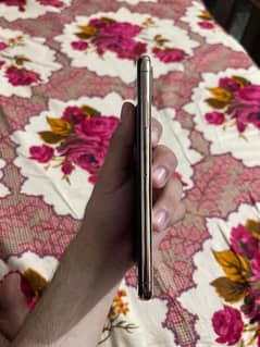 iphone xxmax