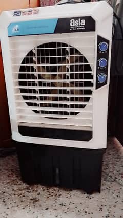 original Asia ka room cooler ha bilkul oky ha