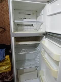frige