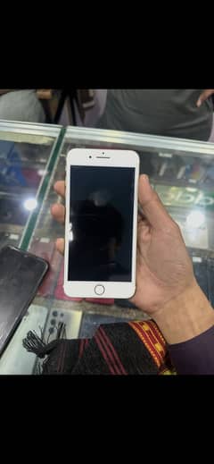 03101908914