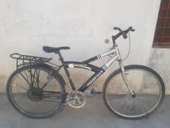 phonix