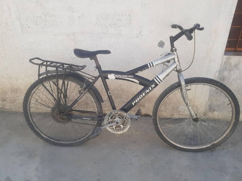 phonix frame cycle 1