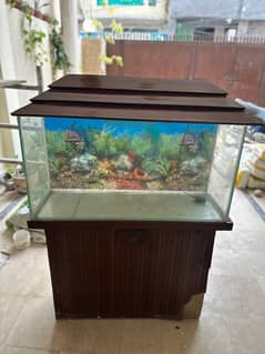 Aquarium in good condition