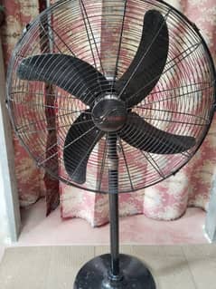 Pedestal fan 220 V