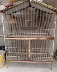 Birds cage iron cage