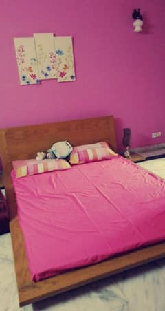 habbit bed