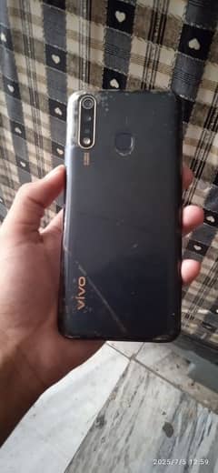 vivo