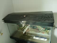 Aquarium