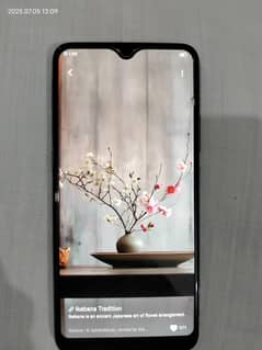 Vivo S1