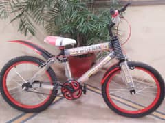 New cycle