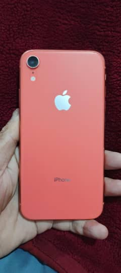 iPhone XR