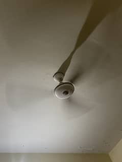 04 celling fan LIKE NEW