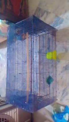 birds cage