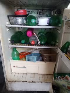 PEL freezer