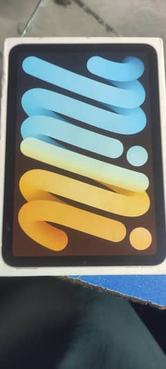 ipad mini 6