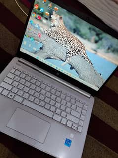 HP Laptop 14