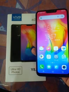 vivo