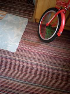 good condition gsgsallery carpet