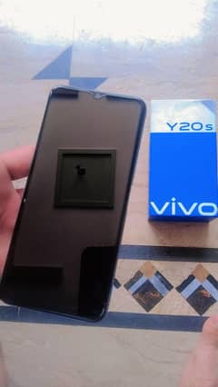 vivo