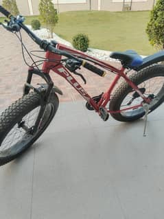fat tyre cycle