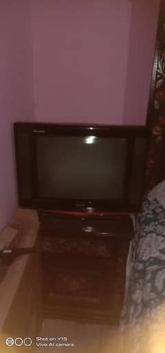 solo tv