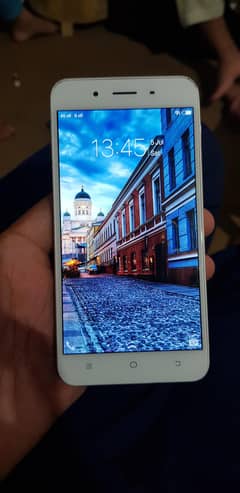 ViVo