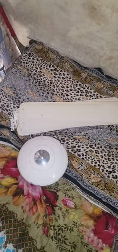 ceiling fan