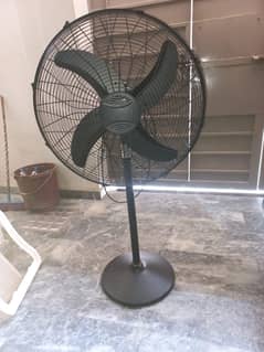 Royal fan