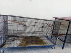 Bird cages