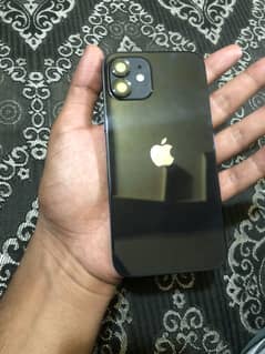 Iphone 12 jv