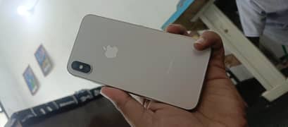 iPhoneX