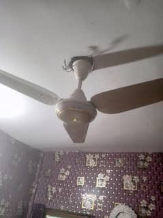 ceiling fan