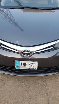 gli Auto 2019