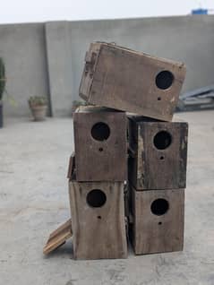 Love Bird Keekar Box