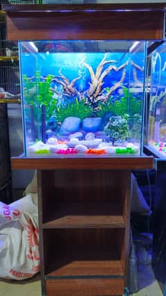 fish aquarium