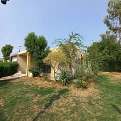 Corner With Huge Lawn 05 Marla Single Story House For Sale